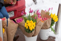 Нижний Новгород готовится к празднованию 8 марта