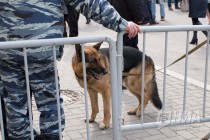 Меры безопасности при входе на место проведения митинга