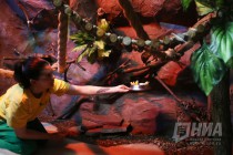 Пополнение в нижегородском зоопарке Лимпопо