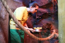 Пополнение в нижегородском зоопарке Лимпопо