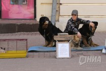 Шествие первомайской колонны по улице Большая Покровская в Нижнем Новгороде