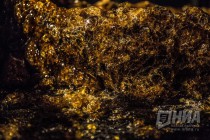 Нижний Новгород принял участие в акции Ночь музеев