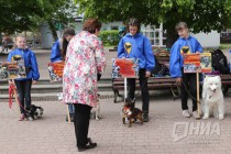 Городской фестиваль Город детства прошел на Театральной площади в Нижнем Новгороде