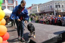 Городской фестиваль Город детства прошел на Театральной площади в Нижнем Новгороде
