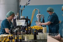 Процесс производства льняного масла