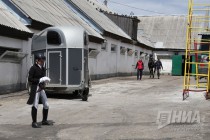 Международные соревнования по выездке в нижегородском конноспортивном комплексе Пассаж