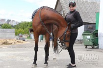 Международные соревнования по выездке в нижегородском конноспортивном комплексе Пассаж