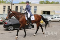 Международные соревнования по выездке в нижегородском конноспортивном комплексе Пассаж
