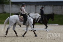 Международные соревнования по выездке в нижегородском конноспортивном комплексе Пассаж