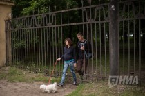 Импровизированная калитка, ставшая входом в парк