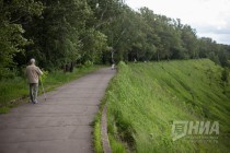 Прогулочная дорожка вдоль откоса в парке Швейцария