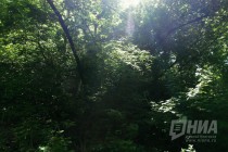 Дорожки в Почаинском овраге