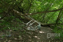 Дорожки в Почаинском овраге