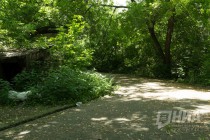 Дорожки в Почаинском овраге