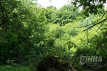 Дорожки в Почаинском овраге