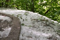 Дорожки в Почаинском овраге