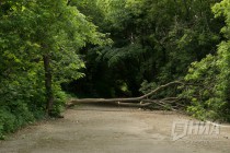 Низина Почаинского оврага