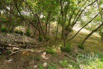 Низина Почаинского оврага