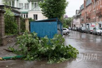 Упавшие ветки в районе Холодного переулка