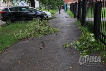 Упавшие ветки в районе Холодного переулка