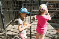 Посетители у вольера рысей