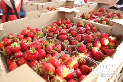 Поездка Клуба парламентских журналистов при ЗС НО в Сергачский район
