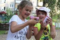 Канавинцы отпраздновали День соседей концертом и детскими конкурсами