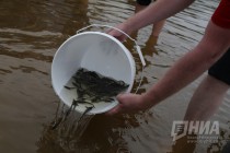 Зампредседателя комитета Законодательного Собрания Нижегородской области по экологии и природопользованию Роман Кабешев, депутат ЗСНО Алексей Коваленко