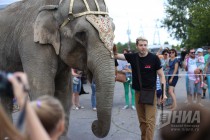 Рок-субботник на Гребном канале в Нижнем Новгороде