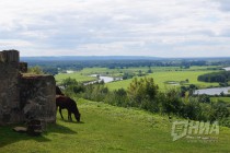 По инициативе Александра Рукавишникова в Подвязье в сентябре пройдут съемки документального фильма для ТК Культура