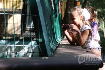 Юные посетители зоопарка