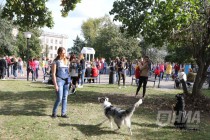 Всероссийская акция в защиту животных Закон нужен сейчас в Нижнем Новгороде 17 сентября