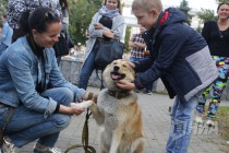 Всероссийская акция в защиту животных Закон нужен сейчас в Нижнем Новгороде 17 сентября