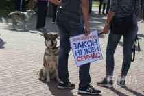 Всероссийская акция в защиту животных Закон нужен сейчас в Нижнем Новгороде 17 сентября