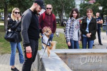 Всероссийская акция в защиту животных Закон нужен сейчас в Нижнем Новгороде 17 сентября