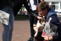 Всероссийская акция в защиту животных Закон нужен сейчас в Нижнем Новгороде 17 сентября