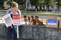 Всероссийская акция в защиту животных Закон нужен сейчас в Нижнем Новгороде 17 сентября