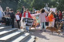 Всероссийская акция в защиту животных Закон нужен сейчас в Нижнем Новгороде 17 сентября