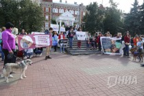 Всероссийская акция в защиту животных Закон нужен сейчас в Нижнем Новгороде 17 сентября