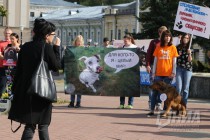 Всероссийская акция в защиту животных Закон нужен сейчас в Нижнем Новгороде 17 сентября