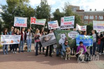 Всероссийская акция в защиту животных Закон нужен сейчас в Нижнем Новгороде 17 сентября