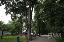 Парк им. Кулибина