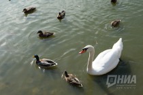 Сормовский парк