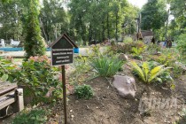 Парк культуры и отдыха им. 1 Мая