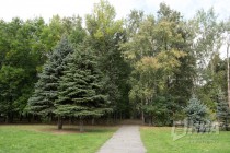 Парк Швейцария