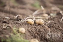 Пресс-тур на производственные площадки АФГ Националь