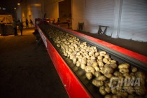 Пресс-тур на производственные площадки АФГ Националь