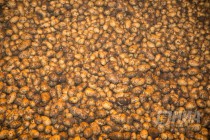 Пресс-тур на производственные площадки АФГ Националь