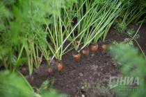 Пресс-тур на производственные площадки АФГ Националь