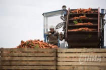 Пресс-тур на производственные площадки АФГ Националь